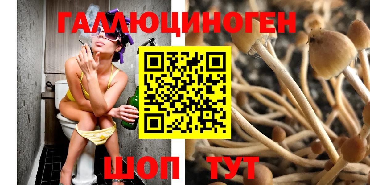 Северобайкальск  Псилоцибиновые грибы GOLDEN TEACHER  Вход с VPN 