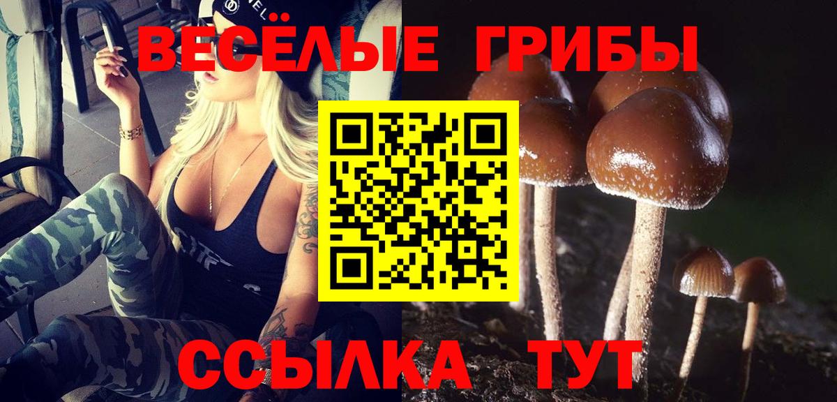 Галлюциногенные грибы MAGIC MUSHROOMS Северобайкальск